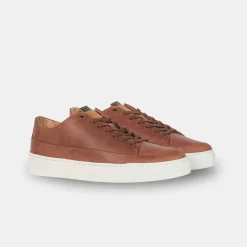 Barbour Lago Trainers Cognac