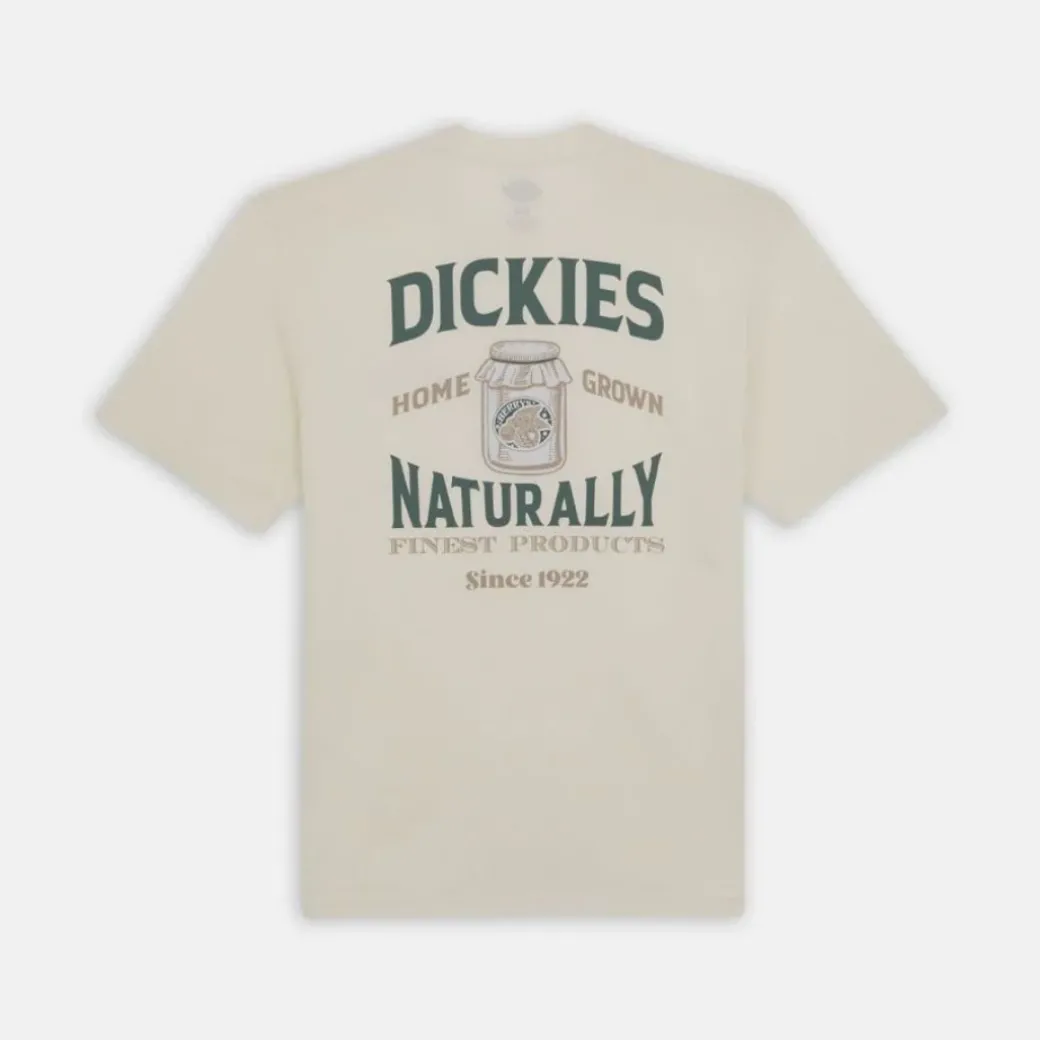 Dickies Elliston Tee T-Shirt Cloud