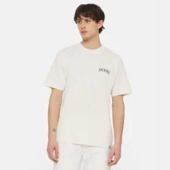 Dickies Elliston Tee T-Shirt Cloud