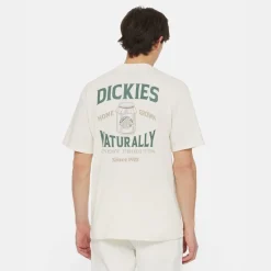 Dickies Elliston Tee T-Shirt Cloud