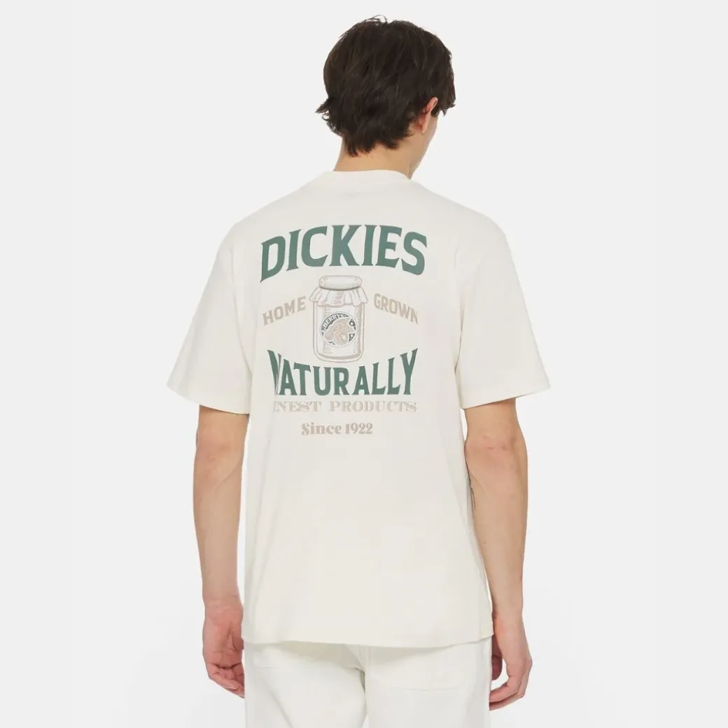 Dickies Elliston Tee T-Shirt Cloud