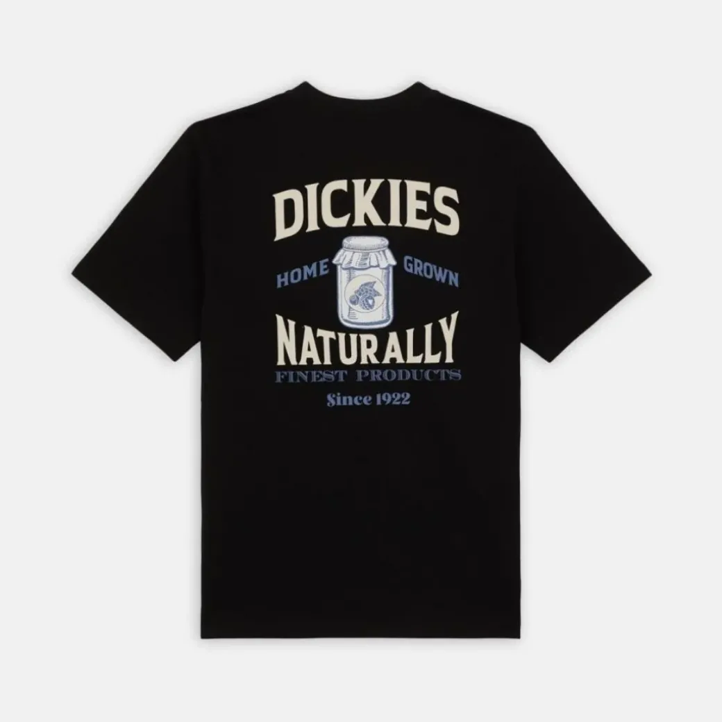 Dickies Elliston Tee T-Shirt Black
