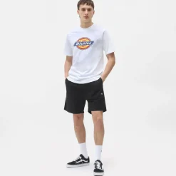 Dickies Short Pelican Rapids Black