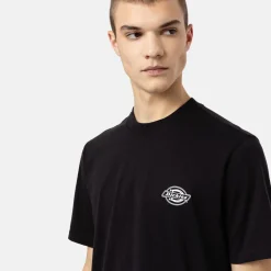 Dickies T-Shirt Holtville Black