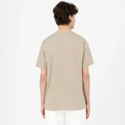 Dickies T-Shirt Mapleton Desert Sand