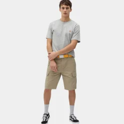 Dickies T-Shirt Mapleton Grey