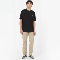 Dickies T-Shirt Summerdale Black