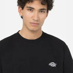 Dickies T-Shirt Summerdale Black