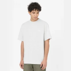 Dickies T-Shirt Summerdale Light Grey