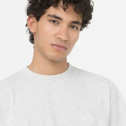 Dickies T-Shirt Summerdale Light Grey