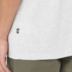 Dickies T-Shirt Summerdale Light Grey